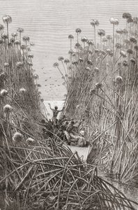 An Expedition Navigating the Lakes of Central Africa in the Late 19th Century, from 